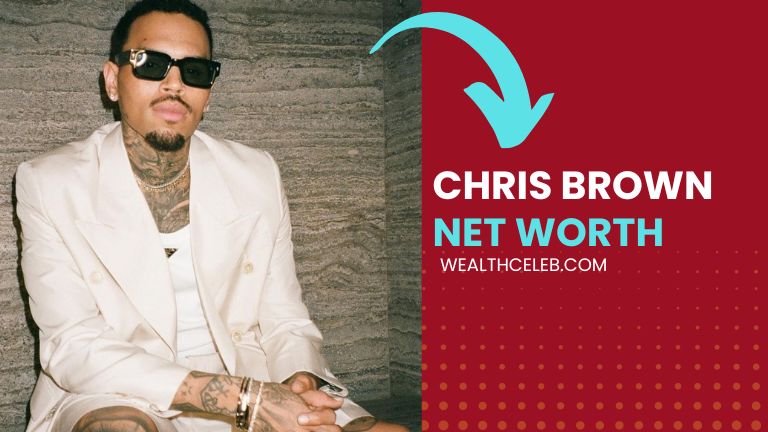 How Much is Chris Brown Net Worth in 2024